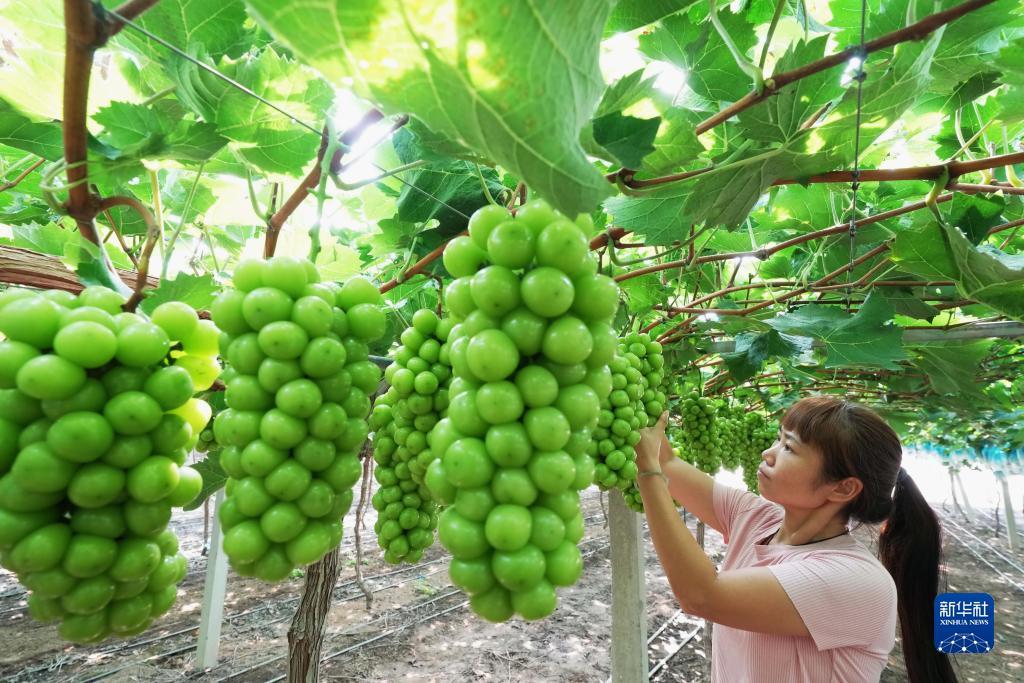 博艺堂98官方网站